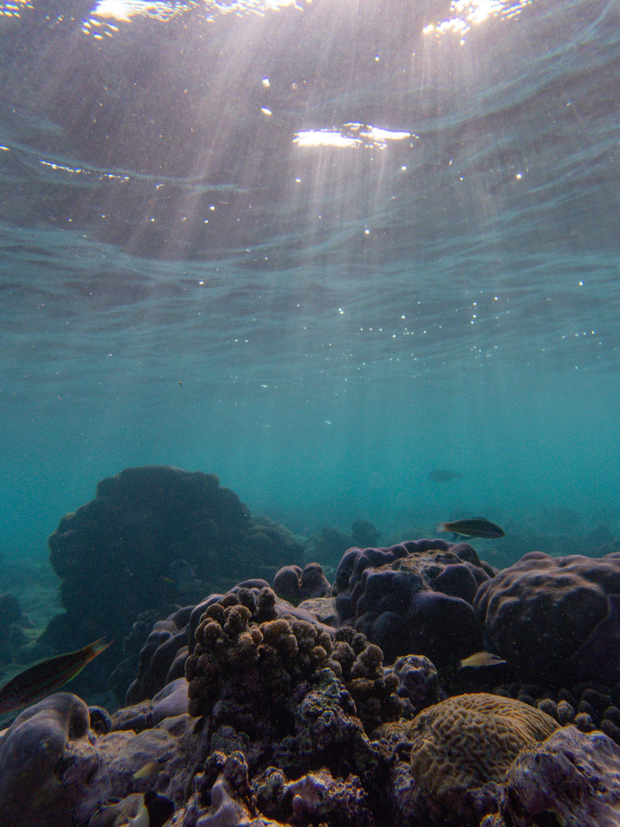 Beneath the blue, illustrative stock photography